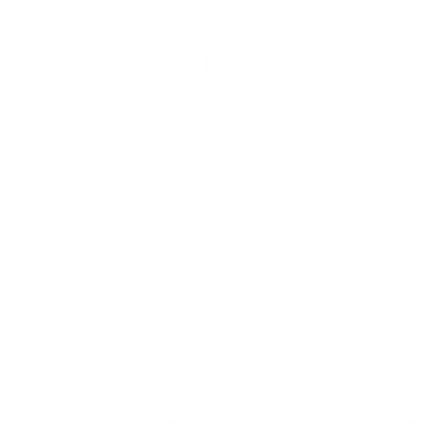 Selesa underwear
